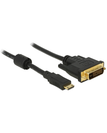 Delock HDMI Mini C na DVI (24+1) 2m Czarny (83583)