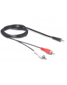 Delock Kabel Jack-2xCinch (84000) - nr 6