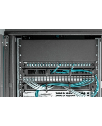 Digitus DN-19-BPN-03-SW