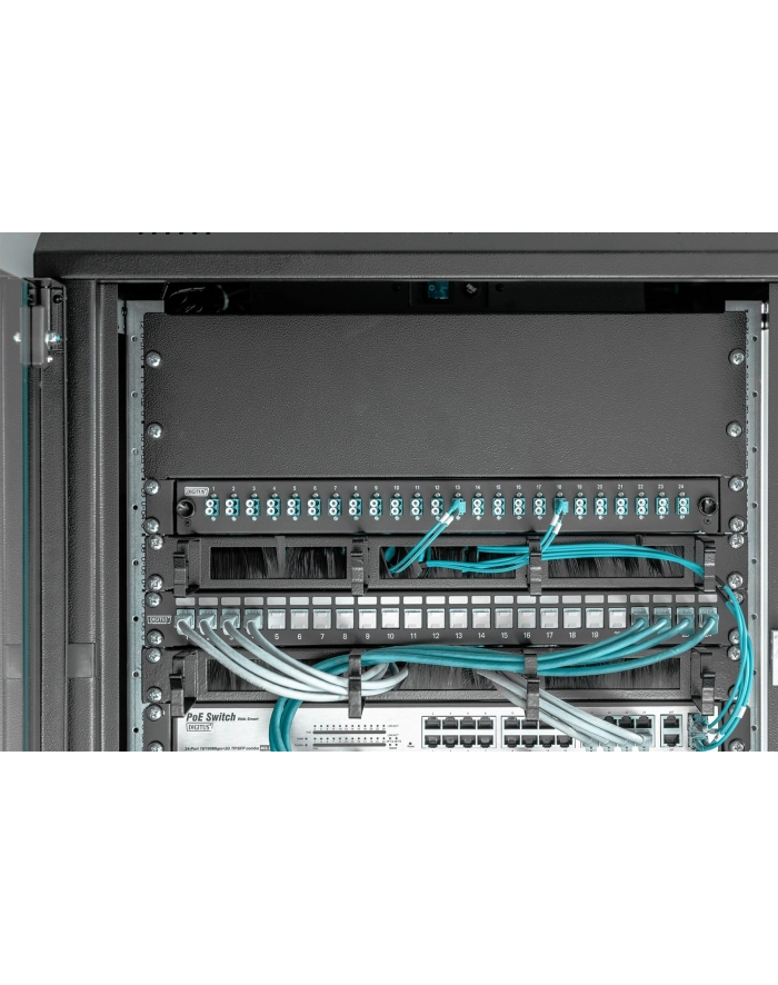 Digitus DN-19-BPN-03-SW główny
