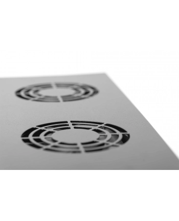 Digitus DN-19 FAN-2-HO-SW