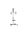 Equip Stojak Tv 37-70 50Kg (650602) - nr 7