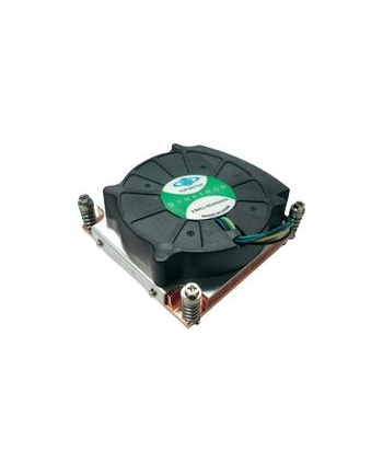 Inter Tech  Dynatron K199 (88885121) Aktiv  1155/1156 nr 2