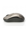 Ednet Notebook Mouse (81166) - nr 21