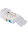 Intellinet Network Solutions Moduł Keystone Cat6 z Blokadą (790758) - nr 1