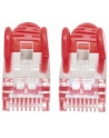 Intellinet Network Solutions Patchcord S/FTP kat.7 0,25m Czerwony (740579) - nr 3