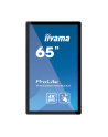 Iiyama ProLite - 165.1 cm (65'') - IPS - 3840 x 2160 pixels - 500 cd/m² - 4K Ultra HD - 16:9 - nr 26
