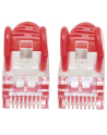 Intellinet Kabel Sieciowy Cat.6 S/FTP AWG 28 RJ45 0.50m Czerwony (735247) - nr 6