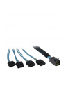 Inter-Tech SFF 8643 - 4x SATA 0,5m (88885003) - nr 1