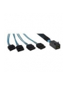 Inter-Tech SFF 8643 - 4x SATA 0,5m (88885003) - nr 3