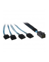 Inter-Tech SFF 8643 - 4x SATA 0,5m (88885003) - nr 5