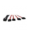 Inter-Tech SFF-8087- 4x SATA 1m (88885301) - nr 2
