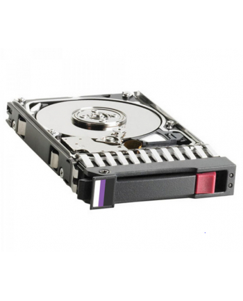 HP 900GB SAS (619463001)