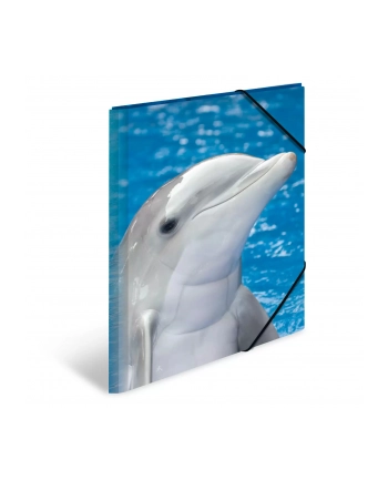 Herma Herma Sammelmappe A3 Delfin Polypropylen 7146