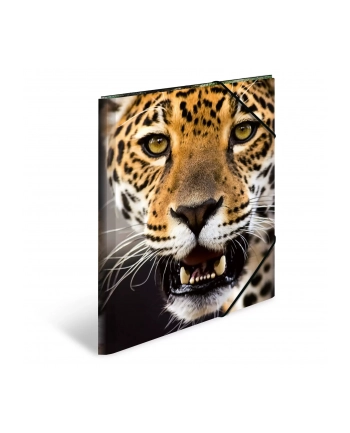 Herma Teczka A3 Leopard