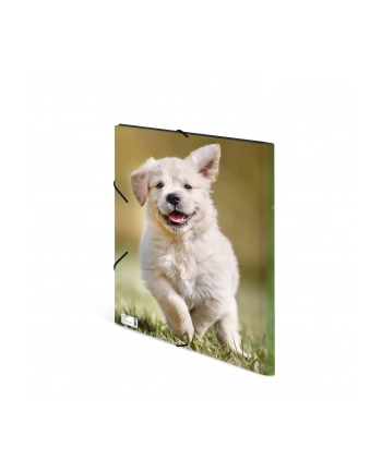 Herma Sammelmappe A3 Hunde Polypropylen
