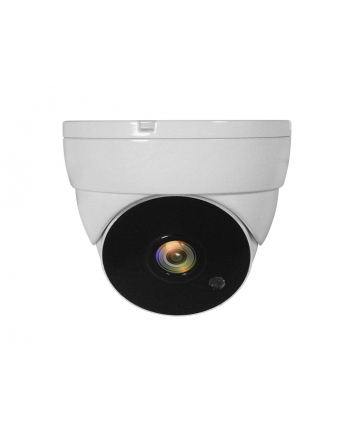 LEVELONE ACS-5302 - SURVEILLANCE CAMERA