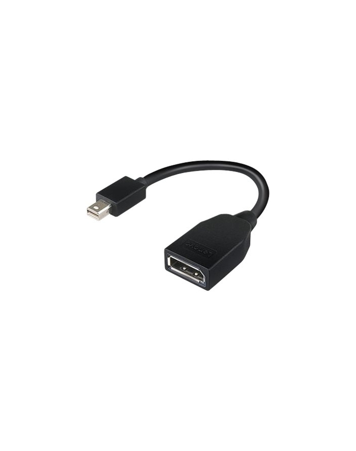 Lenovo mini DisplayPort/DisplayPort (4X90L13971) główny