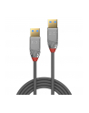 Lindy 36625 Kabel USB 3.0/3.1 A-A Cromo Line 0,5m (ly36625) - nr 1