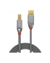 Lindy 36644 Kabel USB 2.0 A-B Cromo Line 5m (ly36644) - nr 9