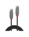Lindy Kabel USB 2.0 A-A Anthra Line 5m  LY36695 - nr 8