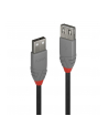 Lindy 36701 Przedłużacz USB 2.0 typ A Anthra Line 0,5m (ly36701) - nr 8