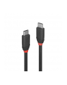 LINDY Kabel 3.1 USB C 1m (36906) - nr 17