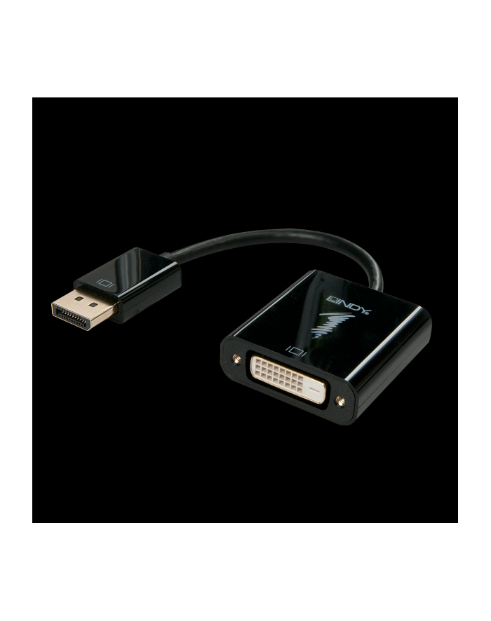 LINDY DVI-D/DisplayPort (41734) główny