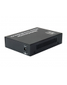 LEVELONE   - FIBRE MEDIA CONVERTER - 10 GIGE (GVT0500) - nr 8