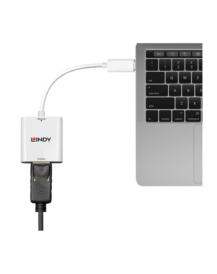 Lindy Przejściówka USB 3.1 typu C (wtyk) Display Port (gniazdo) główny