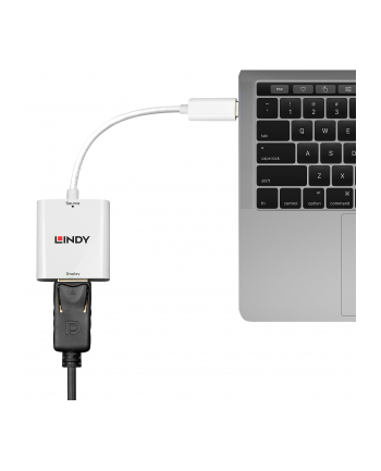 Lindy Przejściówka USB 3.1 typu C (wtyk) Display Port (gniazdo)