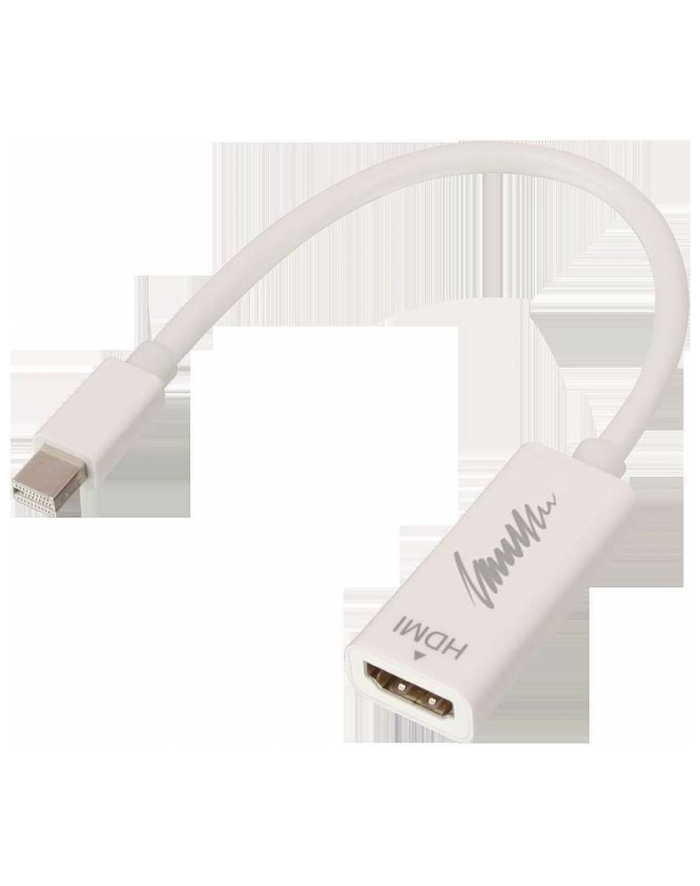 LINDY mini DisplayPort/HDMI (41719) główny