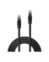 Lindy Patchcord kat.6 U/UTP 0,3m Czarny (48190) - nr 11
