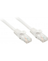 Lindy Patchcord kat.6 U/UTP 0,5m Biały (48201) - nr 5