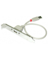 Lindy USB adapter (33123) - nr 1