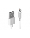 Lindy 31325 Kabel USB - Apple Lightning - 0,5m - nr 12