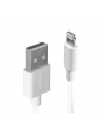 Lindy 31325 Kabel USB - Apple Lightning - 0,5m - nr 1