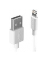 Lindy 31325 Kabel USB - Apple Lightning - 0,5m - nr 5