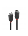 Lindy 36492 Kabel DisplayPort 1.2 Black Line 2m (ly36492) - nr 8