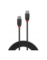 Lindy 36907 Kabel USB 3.1 C-C Black Line 1,5m (ly36907) - nr 2