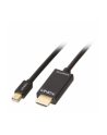 Lindy Kabel Mini Display Port-HDMI 4K UHD-1m (LY36926) - nr 9