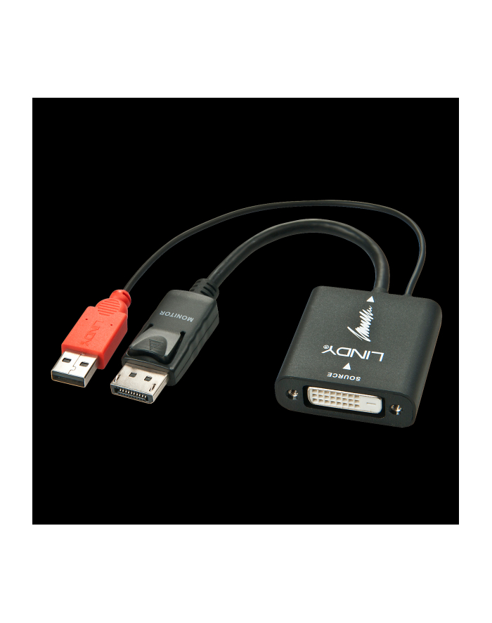 Lindy Konwerter/adapter/przejściówka sygnału DVI-D na Display Port z dodatkowym zasilaniem USB (38145) główny