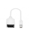 Lindy 41021 Adapter Mini DisplayPort DisplayPort (ly41021) - nr 11