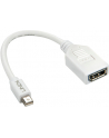 Lindy 41021 Adapter Mini DisplayPort DisplayPort (ly41021) - nr 12