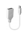 Lindy 41021 Adapter Mini DisplayPort DisplayPort (ly41021) - nr 14