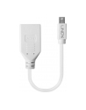 Lindy 41021 Adapter Mini DisplayPort DisplayPort (ly41021) - nr 17