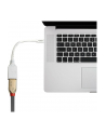 Lindy 41021 Adapter Mini DisplayPort DisplayPort (ly41021) - nr 19