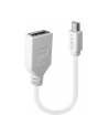 Lindy 41021 Adapter Mini DisplayPort DisplayPort (ly41021) - nr 20