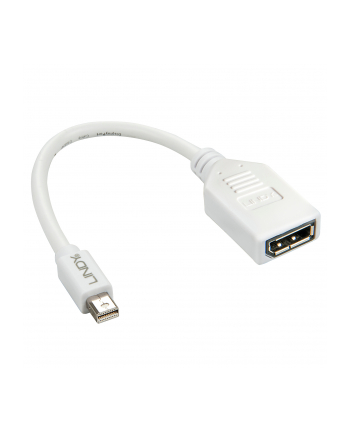 Lindy 41021 Adapter Mini DisplayPort DisplayPort (ly41021)