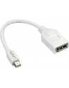 Lindy 41021 Adapter Mini DisplayPort DisplayPort (ly41021) - nr 3